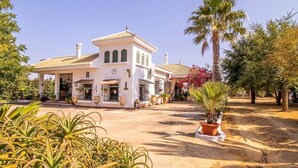 Eine weiße Villa mit Ziegeldach, einer überdachten Terrasse und einem Garten mit Palmen und Topfpflanzen.