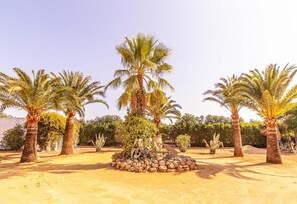 Terrein van de accommodatie