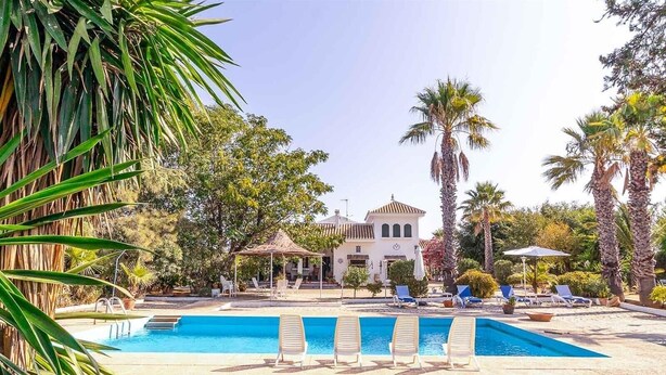 Ein Poolbereich mit Liegestühlen, ein Gebäude mit Ziegeldach und Palmen.