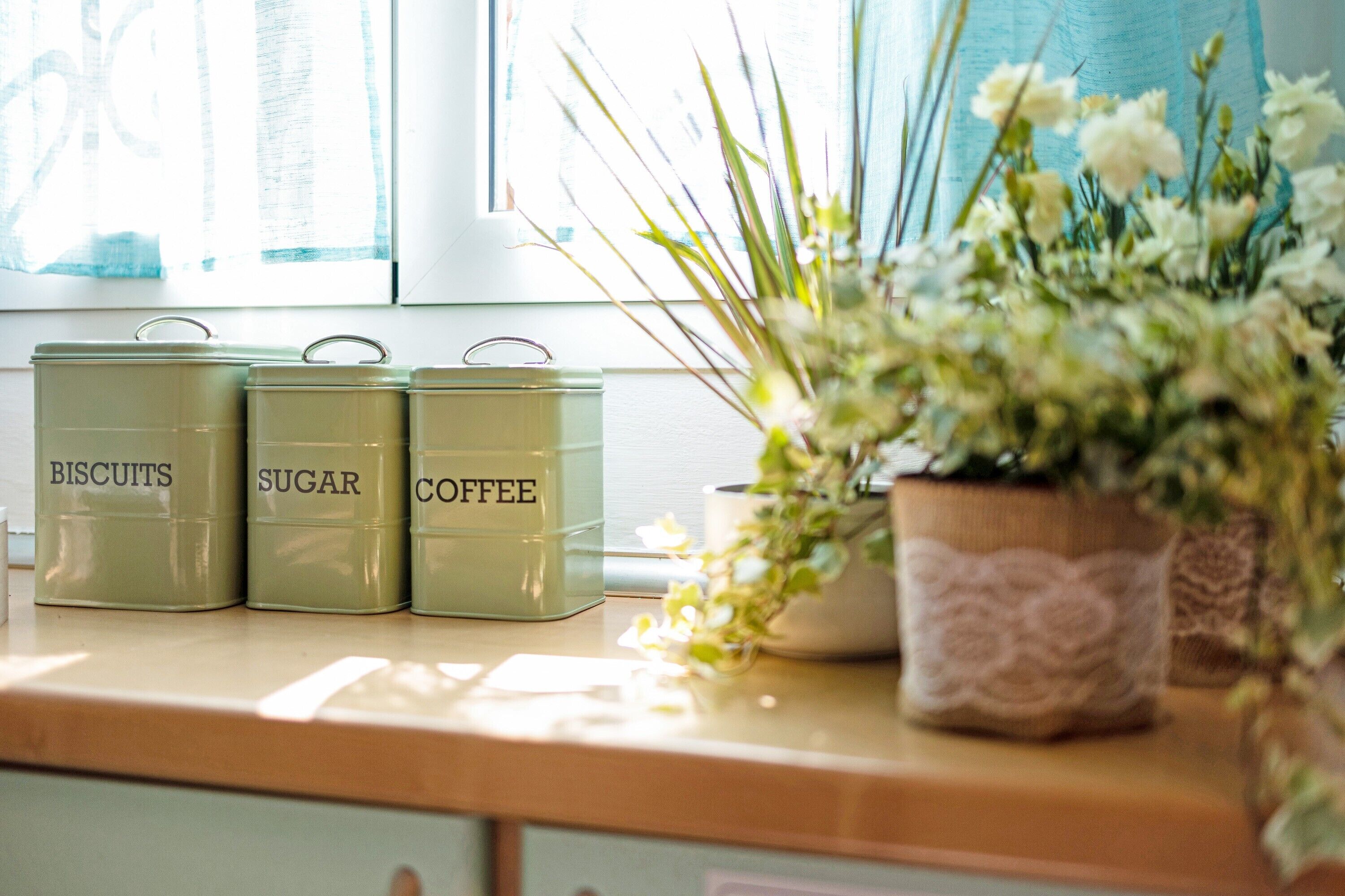 A kitchen counter with three green tin containers labeled 'BISCUITS,' 'SUGAR,' and 'COFFEE.' There is a potted plant with white flowers on the counter.