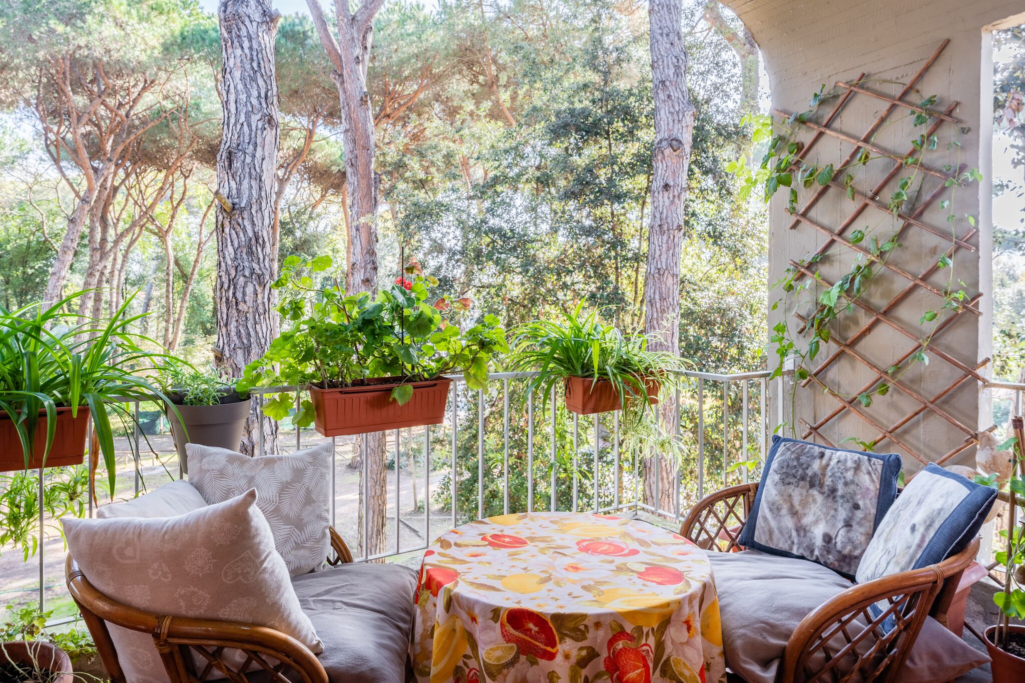 Pet-Friendly Apartment in a Pine Forest, 2 steps from the Sea with Wi-Fi, Terraces & A/C