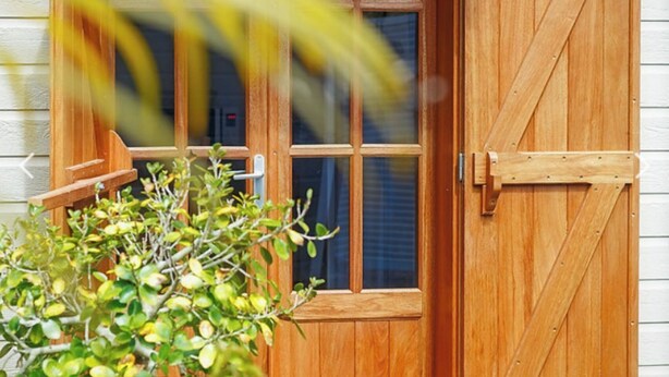 Une porte en bois avec une fenêtre, une petite plante au premier plan et un mur extérieur blanc.