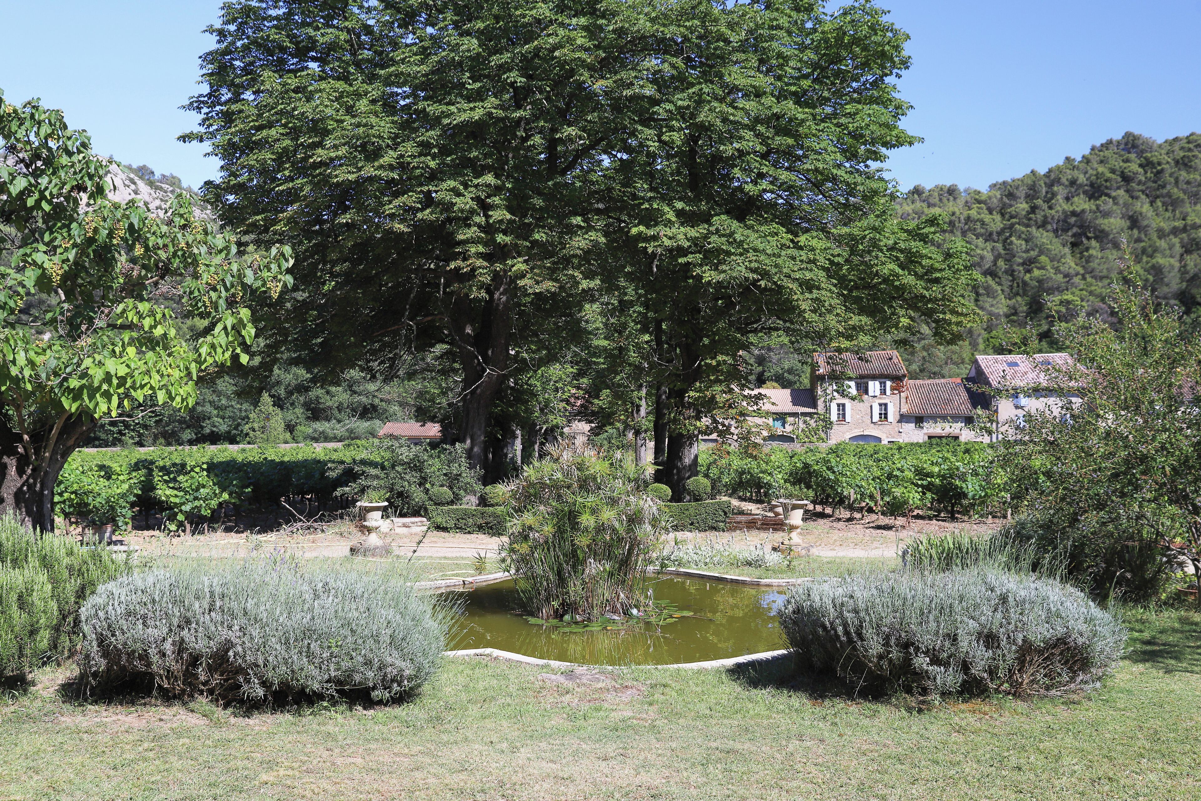 A garden with a pond, neatly trimmed bushes, and a large tree.
