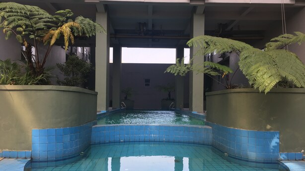 Piscina com azulejos azuis, rodeada por vasos com samambaias e outra vegetação.