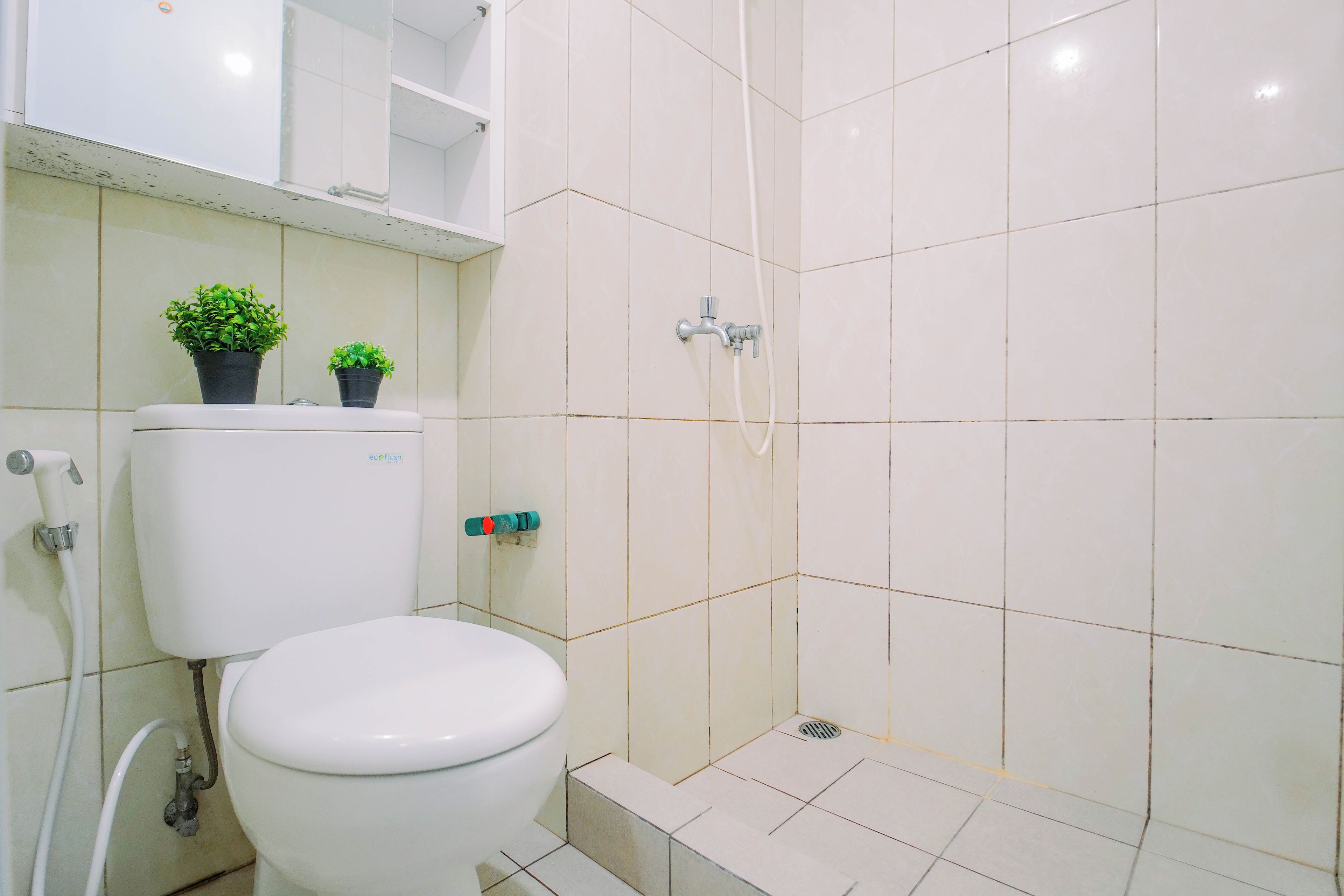 Un baño con inodoro, ducha y dos plantas en macetas sobre el tanque.