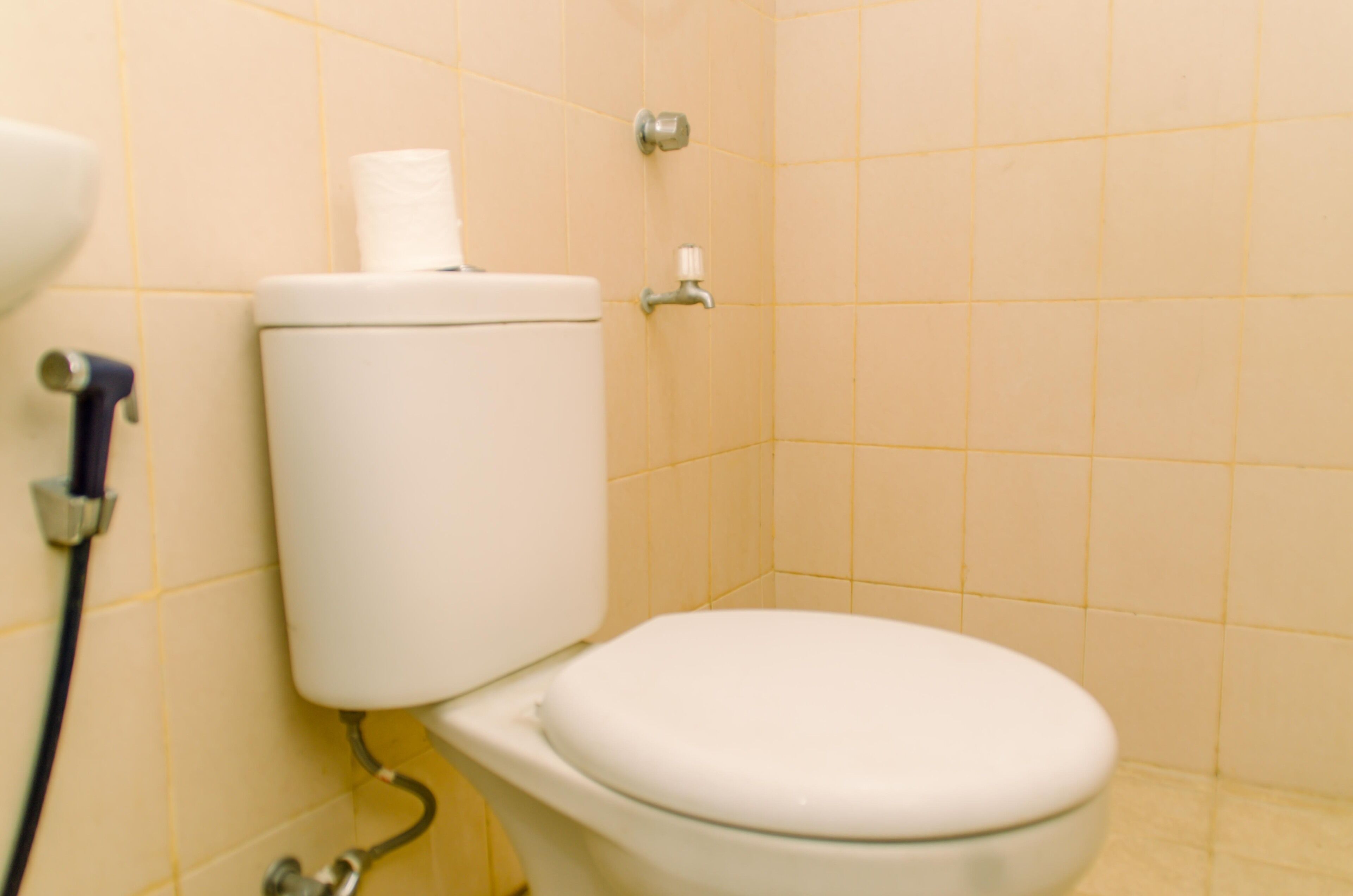 A standard bathroom with a toilet, a bidet, and a wall-mounted toilet paper holder.