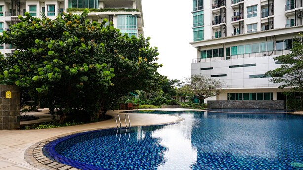 A swimming pool with a tiled edge, surrounded by a landscaped area with trees and a building in the background.
