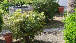 Un jardin agrémenté d’une sculpture en métal, de plantes en pot et d’un bâtiment blanc aux volets bruns.