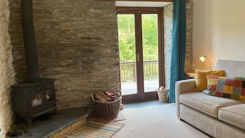 Smart TV, fireplace, DVD player, books