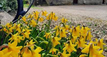The Stables | Large decking | Three bedroom cottage | Cardigan Bay | West Wales
