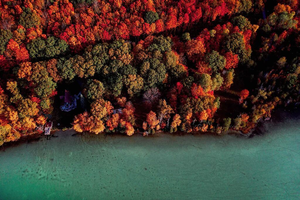 Vue aérienne d’une zone côtière caractérisée par une forêt dense et la présence d’un petit bâtiment près du bord de l’eau.