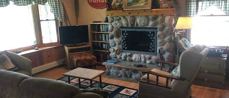テレビ、暖炉、DVD プレーヤー、ビデオライブラリ
