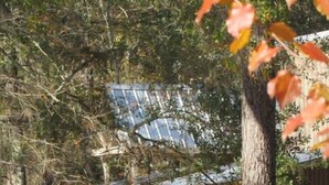 A wooden cabin with a deck, surrounded by trees. - On the Riverbend Cabin (Claxton)
