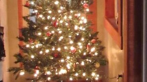 A Christmas tree with lights and ornaments in a doorway. - On the Riverbend Cabin (Claxton)