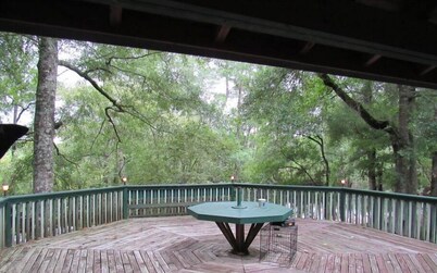 Octagon Cabin on the Canoochee River