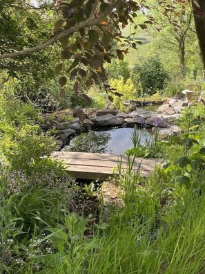 Property grounds - Kittiwake Cottage, Moor and Sea. Beautiful space on Exmoor (Lynton)