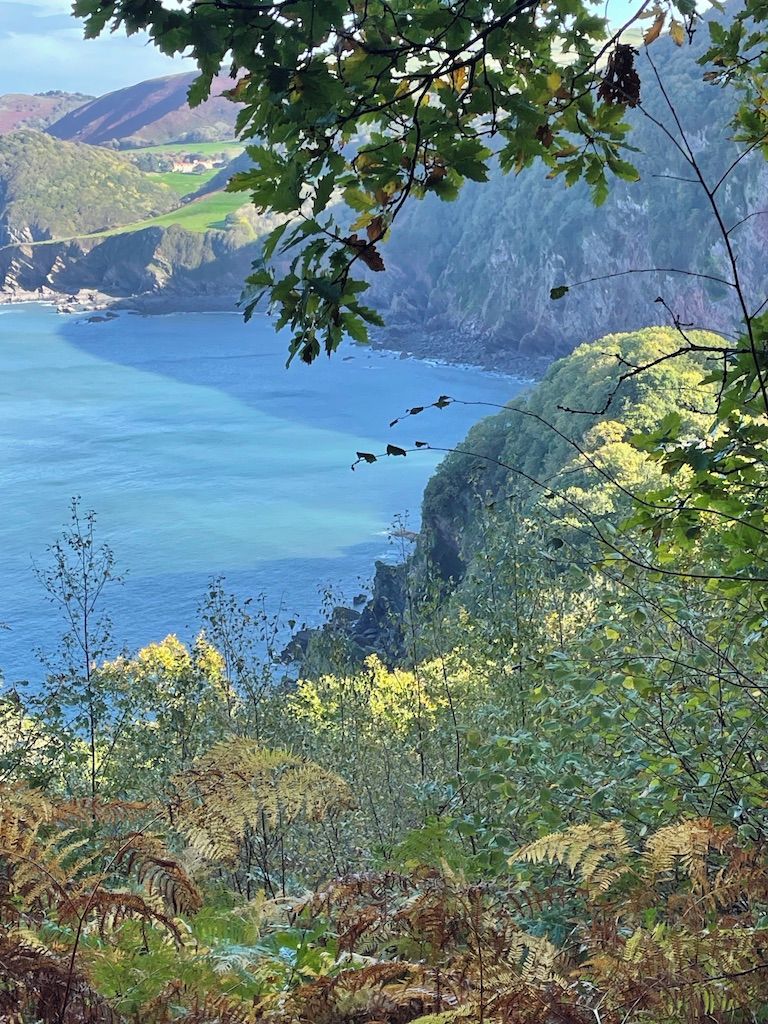A coastal landscape with cliffs, vegetation, and a view of the sea.