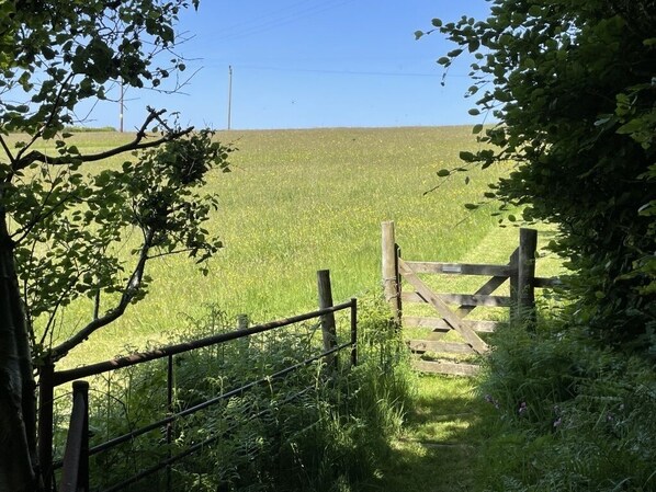 A rural landscape with a wooden gate leading into a field.