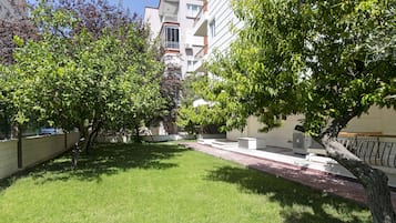Une cour avec une pelouse verdoyante, des arbres et un bâtiment doté de balcons.