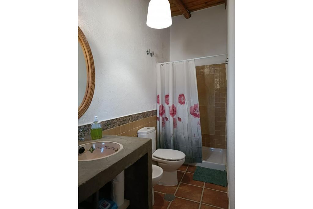 Spacious and comfortable rural house in a small village