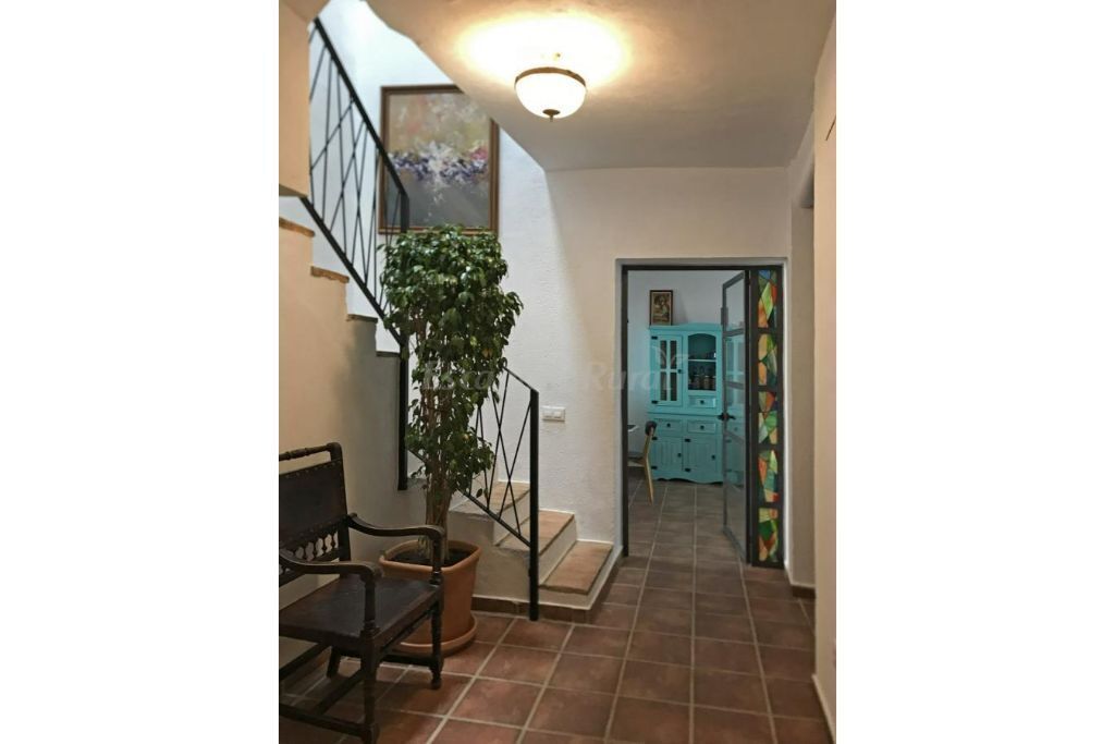 Spacious and comfortable rural house in a small village