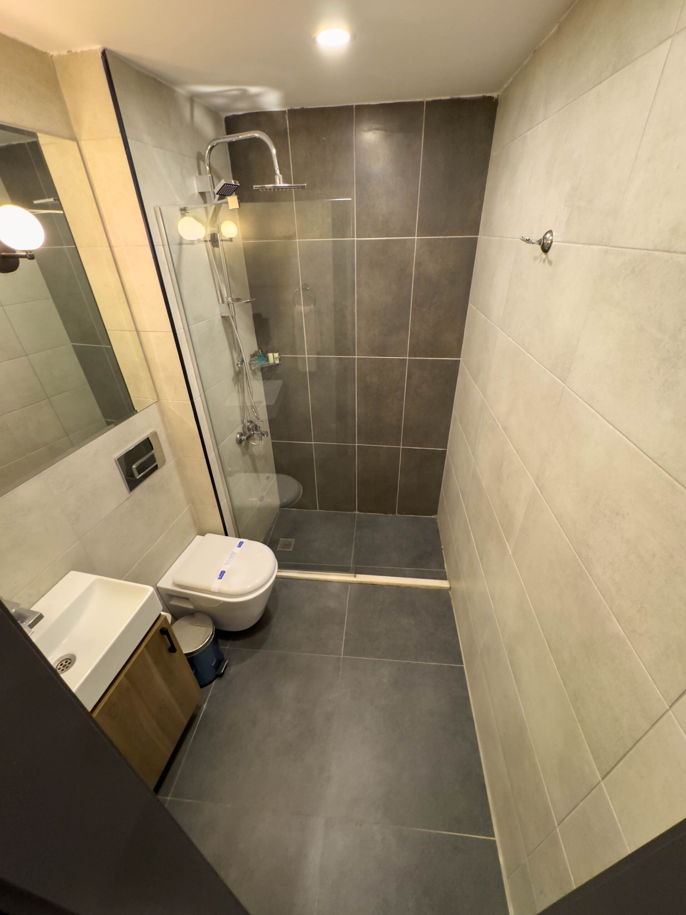 superior double room | bathroom | shower, free toiletries, hair dryer, towels