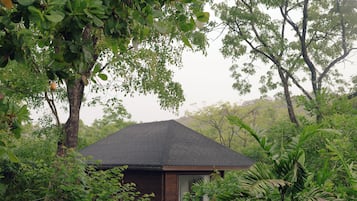 Luxury Room | View from room