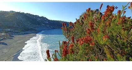 Castle for 16 Guests