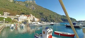 مارينا