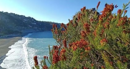 Castle for 16 Guests