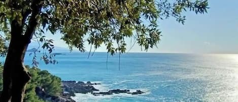 Playa