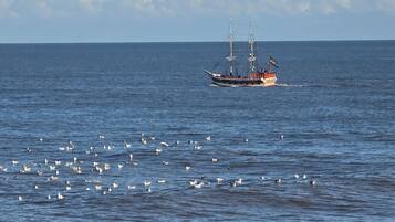 A boat with passengers on a calm sea.