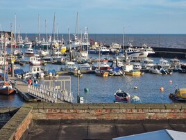A marina with various boats docked, a brick wall in the foreground, and a clear sky.
