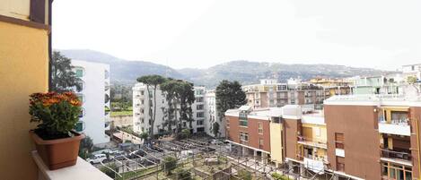 Un quartier résidentiel comprenant plusieurs immeubles d’appartements, un chantier de construction avec des échafaudages et un pot de fleurs sur un balcon.