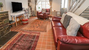 Un salon avec un canapé en cuir rouge, un téléviseur, une bibliothèque et une cheminée.