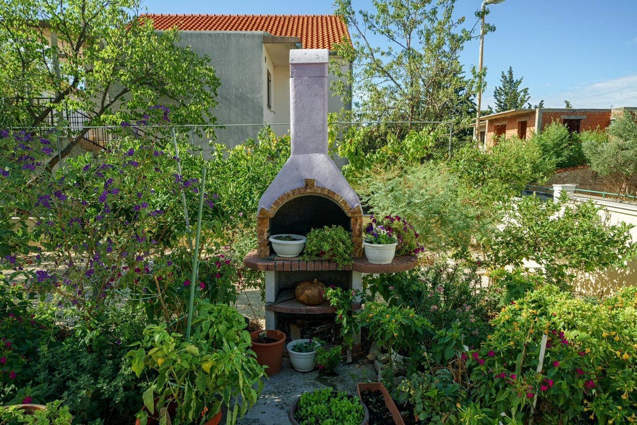 Un giardino con un forno in mattoni, circondato da diverse piante in vaso e alberi.