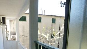 Un couloir au sol carrelé, un balcon avec une rambarde verte et une vue sur un immeuble aux volets verts.