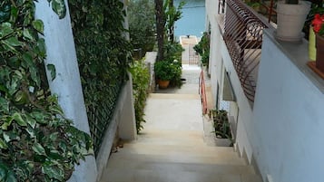 Una escalera estrecha conduce a una zona de piscina, rodeada de follaje y plantas en macetas.
