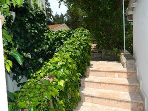 A set of stone steps leading up to a white building, surrounded by lush green foliage. - Apartments and Rooms Darinka (Vrboska)