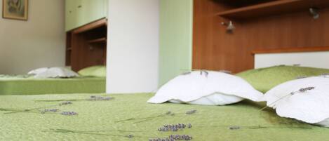 2 chambres, fer et planche Ă repasser, accĂšs au Wi-Fi (inclus)