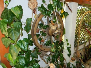 A rustic interior with a large wooden wheel decoration surrounded by lush green ivy. - Apartment and Room Darinka (Vrboska)