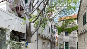 Una calle estrecha con pavimento de piedra, edificios con balcones y un árbol de hojas verdes.