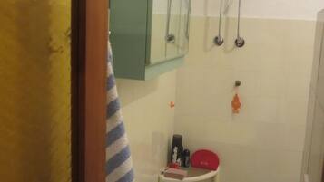 Shower, hair dryer, soap