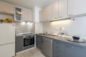 Apartment (A1) | Private kitchen | Fridge, microwave, oven, stovetop