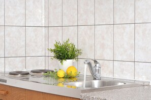 Eine Küche mit einem Edelstahl-Spülbecken, einem Blumentopf und zwei Zitronen auf der Arbeitsplatte.