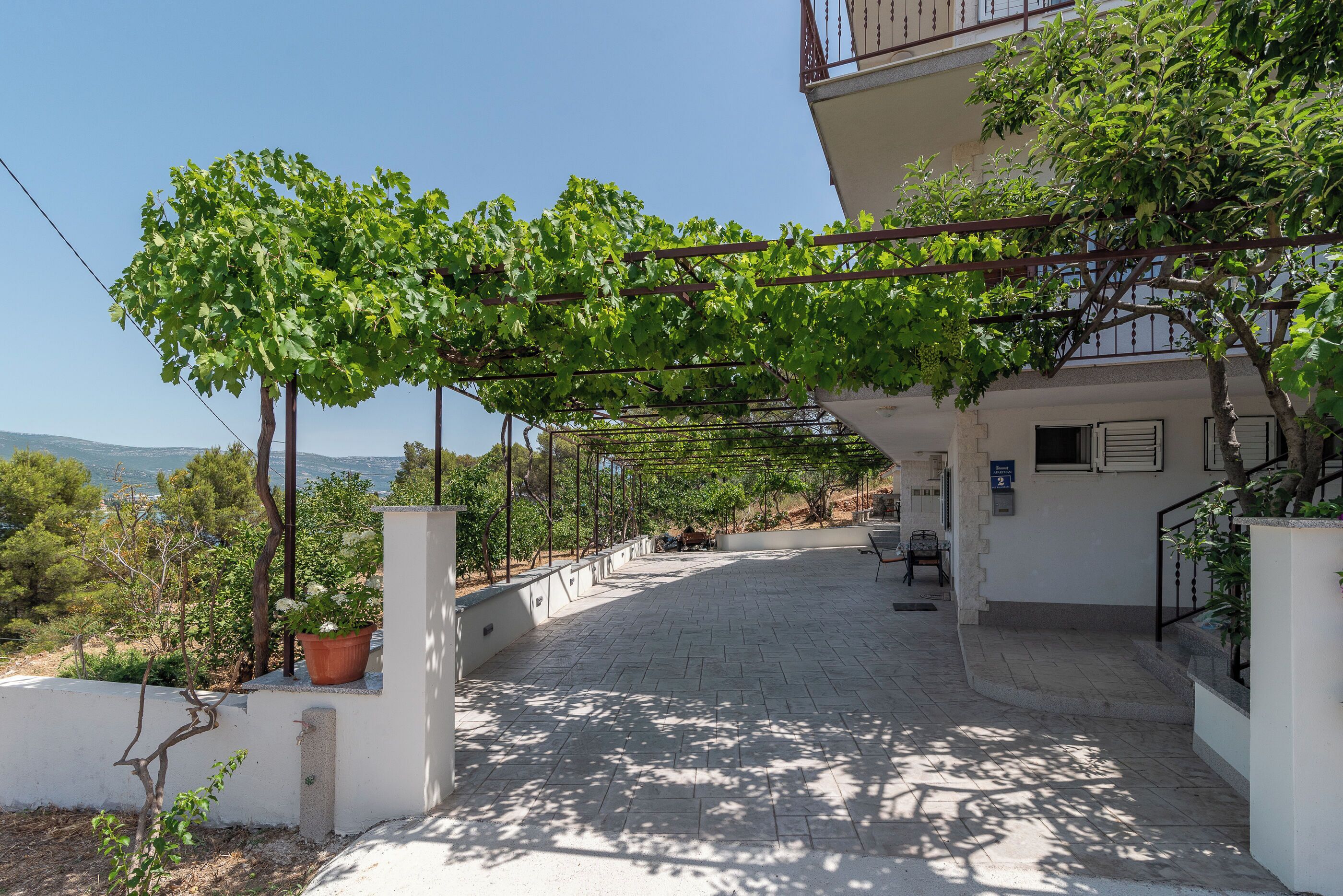 Un sendero pavimentado que conduce a un edificio con una pérgola cubierta de enredaderas verdes.