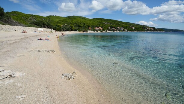 A beach with clear water, a sandy shore, and houses on a hillside. - Apartment Vila Grscica (Blato)
