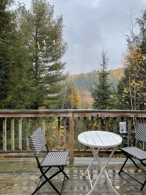 Outdoor dining - Cozy, spacious cabin. Great for fishing & snowmobiling! (Lakewood)