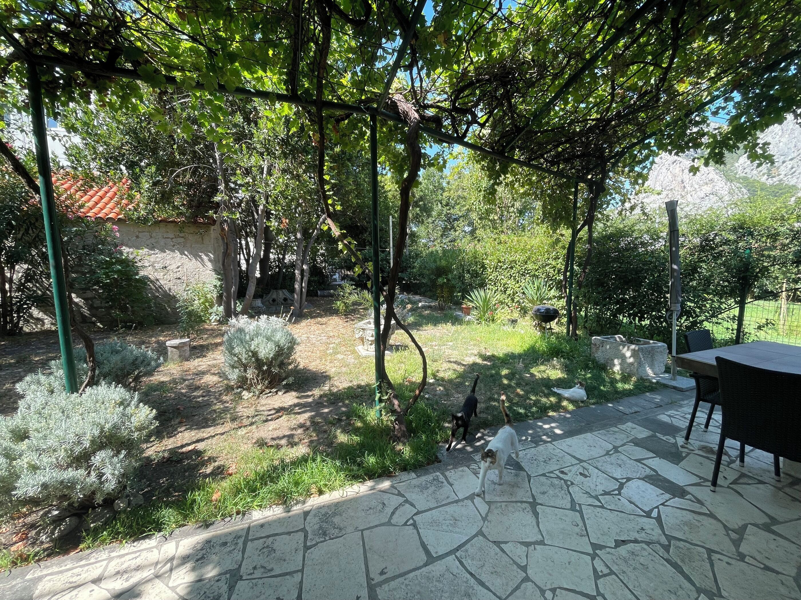 Jardin
