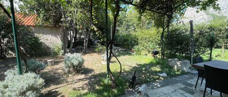Jardin